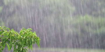 2 morti e 2 dispersi in Australia a causa delle forti piogge