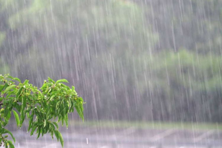 2 morti e 2 dispersi in Australia a causa delle forti piogge