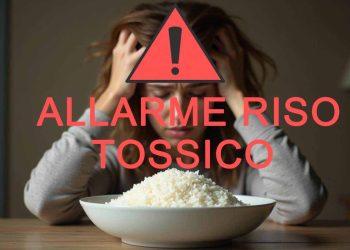 Allarme riso: riscontrati elevati livelli di arsenico e cadmio, secondo un nuovo rapporto schock dagli Stati Uniti