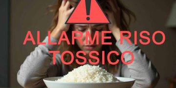 Allarme riso: riscontrati elevati livelli di arsenico e cadmio, secondo un nuovo rapporto schock dagli Stati Uniti