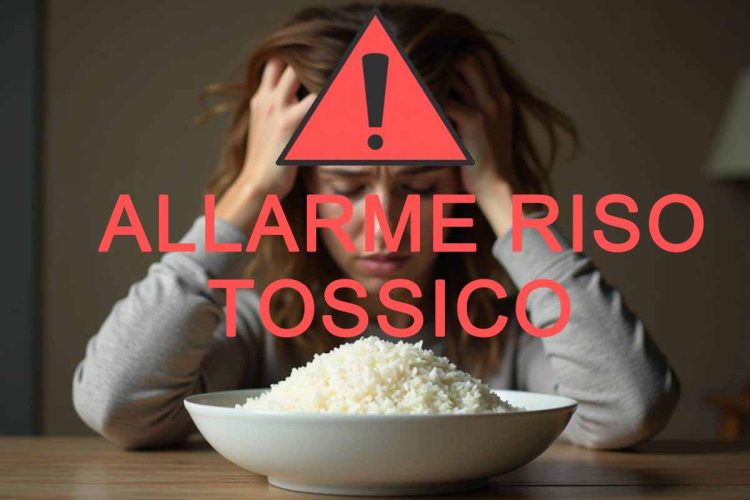 alanews.it - allarme riso tossico dagli Stati Uniti