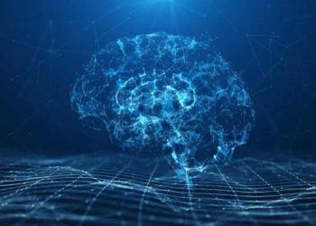 Dove si trova la coscienza