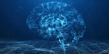 Dove si trova la coscienza