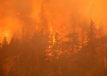 Gli incendi in Israele sono sotto controllo