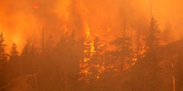 Gli incendi in Israele sono sotto controllo