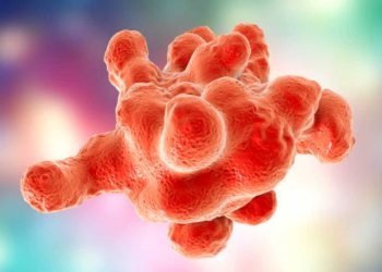 Il parassita che si traveste con le cellule umane uccise