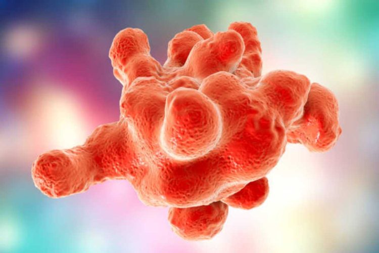 Il parassita che si traveste con le cellule umane uccise