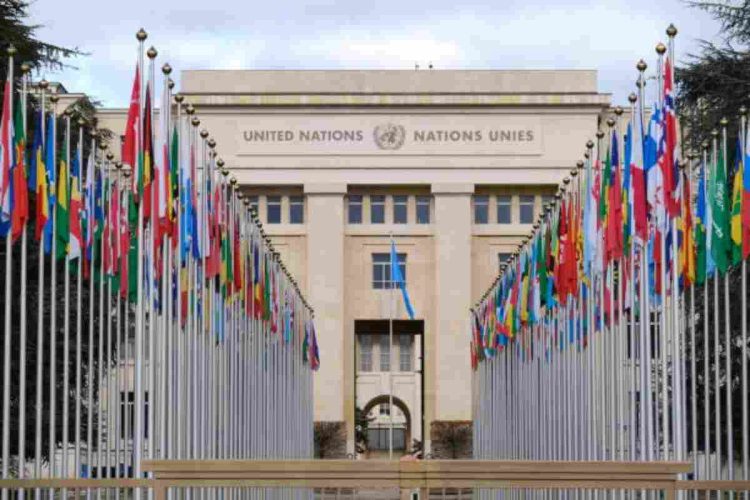 L'ONU chiede aiuti per la Nigeria