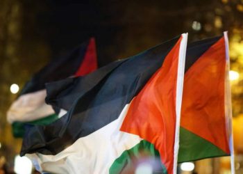 Manifestazione per Gaza a Roma