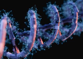 Ricostruito in laboratorio il primo RNA