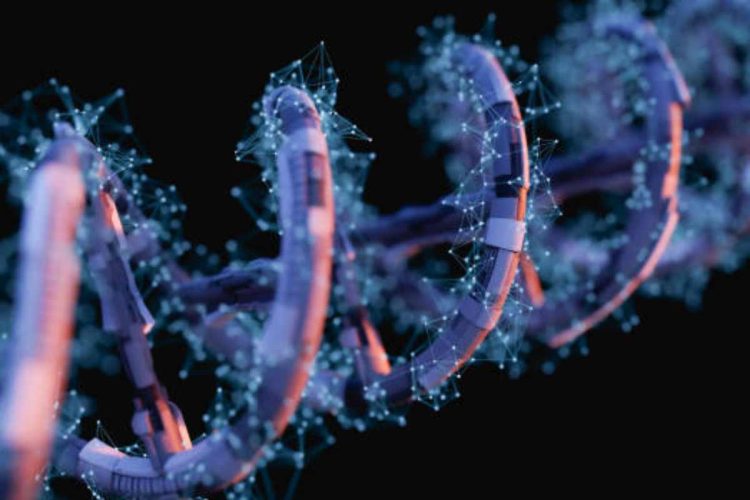 Ricostruito in laboratorio il primo RNA