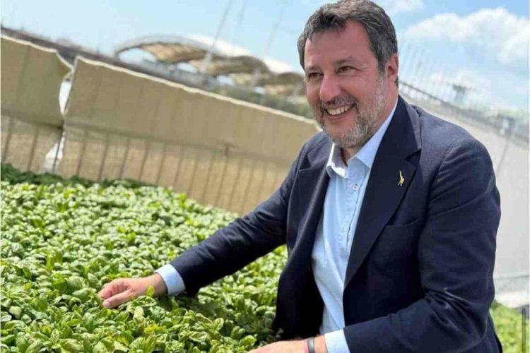 Salvini sul Codice della strada