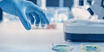 Stretta di Trump alla ricerca sui virus modificati