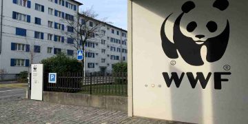 Una delle sedi del Wwf