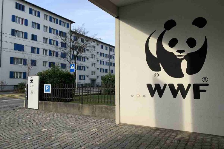 Una delle sedi del Wwf