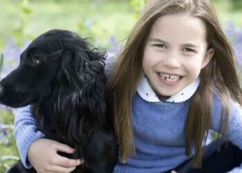 Quattro nuovi cani per William e Kate