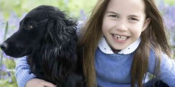 Quattro nuovi cani per William e Kate