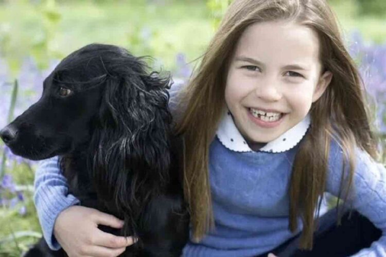 Quattro nuovi cani per William e Kate