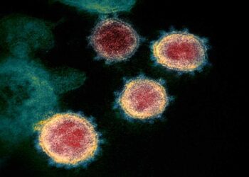 Coronavirus Sars-CoV-2