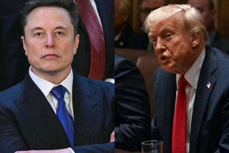 Elon Musk e Donad Trump