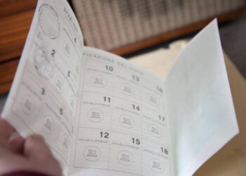 I dati sul referendum