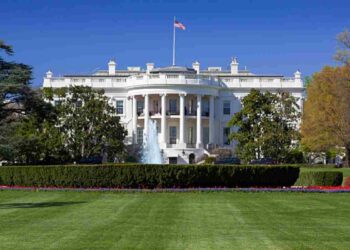 Nessun incontro previsto tra Musk e Trump