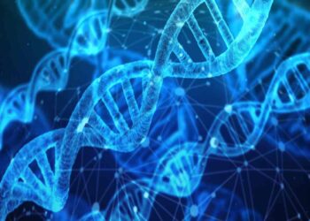 Rappresentazione del DNA