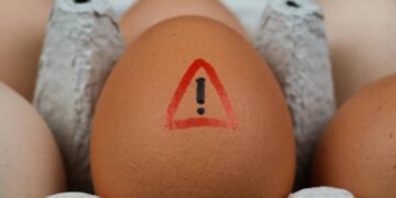 Salmonella negli USA