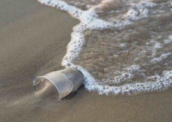 Un bicchiere di plastica in riva al mare
