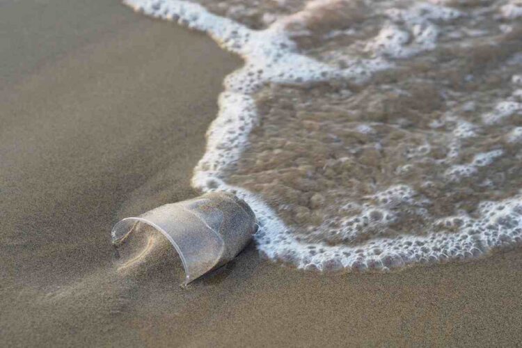 Un bicchiere di plastica in riva al mare