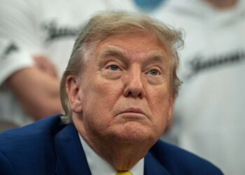 Un primo piano di Donald Trump