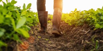 Il decreto flussi andrà il conto alle carenze di vari settori, incluso quello agricolo - Nella foto: un uomo al lavoro nei campi
