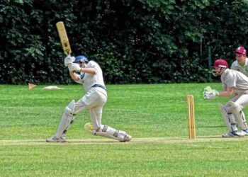 Una partita a cricket