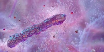 Intossicazione da botulino