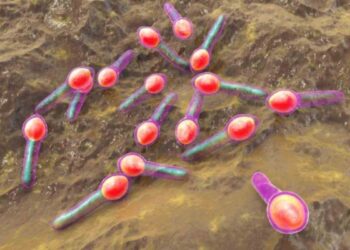 Il batterio che causa l'intossicazione da botulino