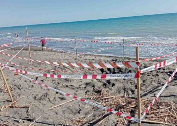Montaldo di Castro buca