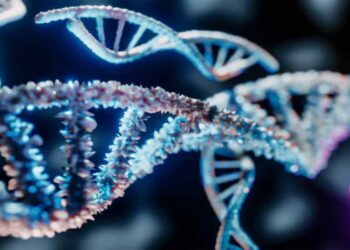 Mutazione genetica che aumenta il rischio di morti improvvise