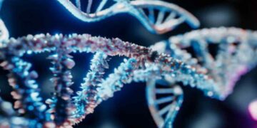 Mutazione genetica che aumenta il rischio di morti improvvise