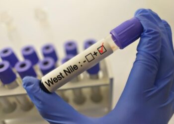 Ottava vittima in Italia da virus West Nile