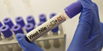 Ottava vittima in Italia da virus West Nile