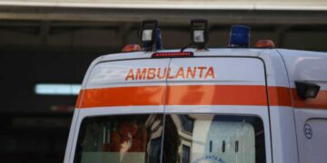 Rimpatriato domani il corpo dell'uomo ucciso da un'orsa in Romania