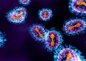 Scoperto un nuovo virus grazie a un gatto