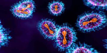 Scoperto un nuovo virus grazie a un gatto