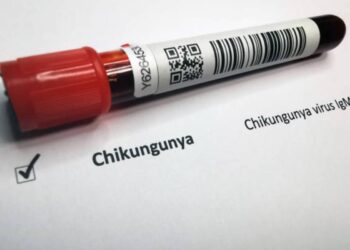 Un caso di chikungunya in Italia