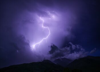 I fulmini causano la caduta di svariati alberi ogni anno