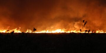 Un incendio in Turchia