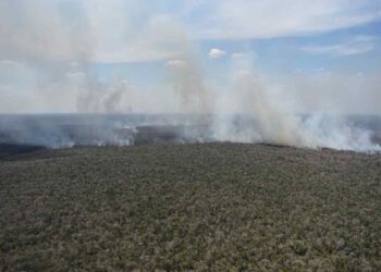 Un incendio scoppiato in Amazzonia nel 2017