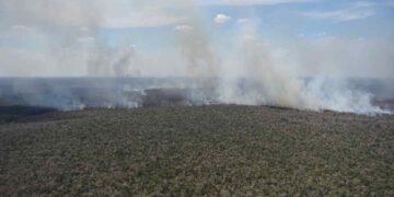 Un incendio scoppiato in Amazzonia nel 2017