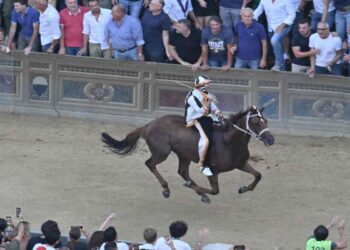 Una foto dell'edizione 2024 del Palio di Siena