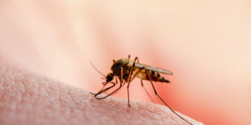West Nile Virus